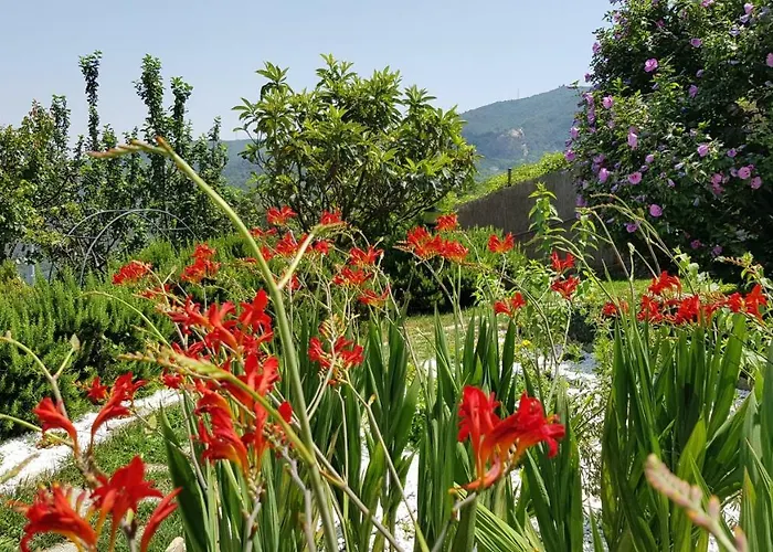 Claudia Дом отдыха Куилиано